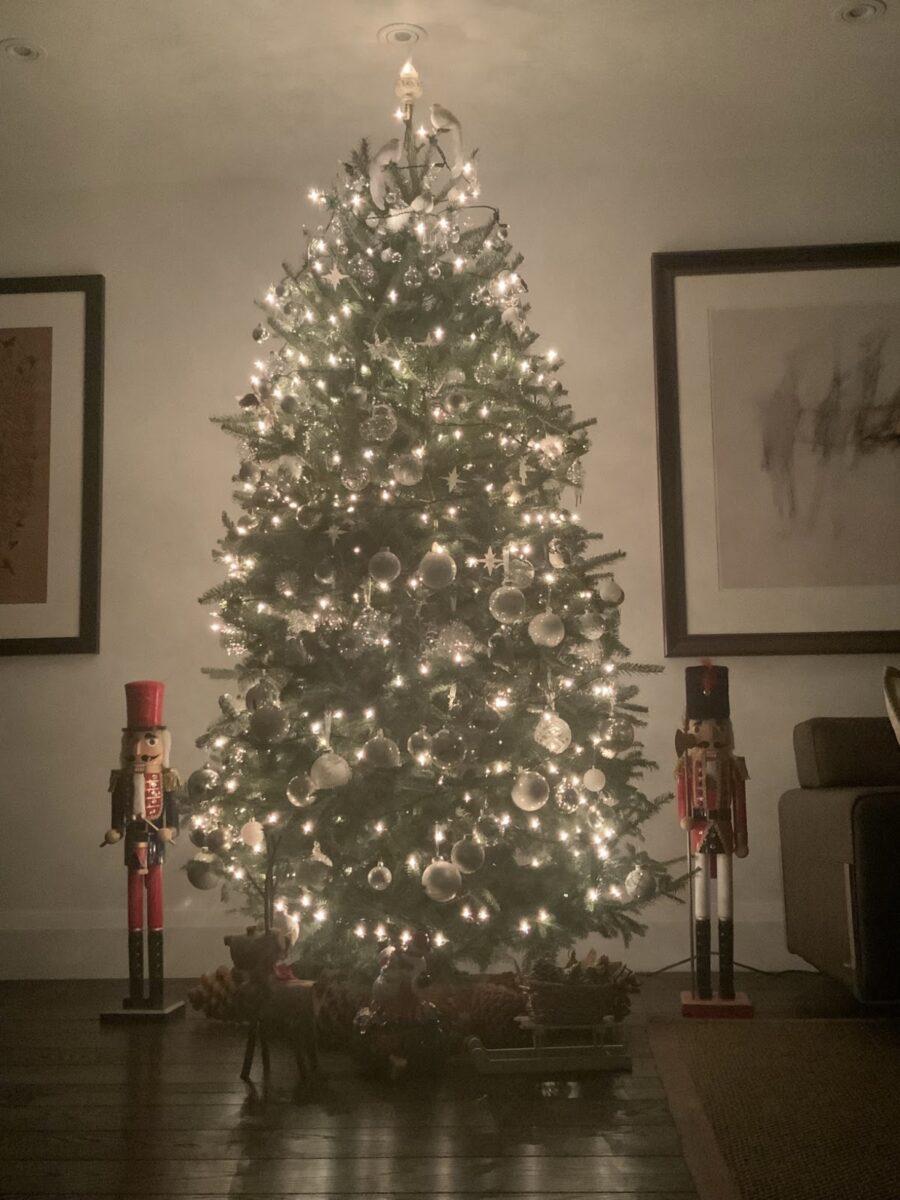 The Unutterable Dream（言い難い夢）《On an Overgrown Path》より− Janáček –