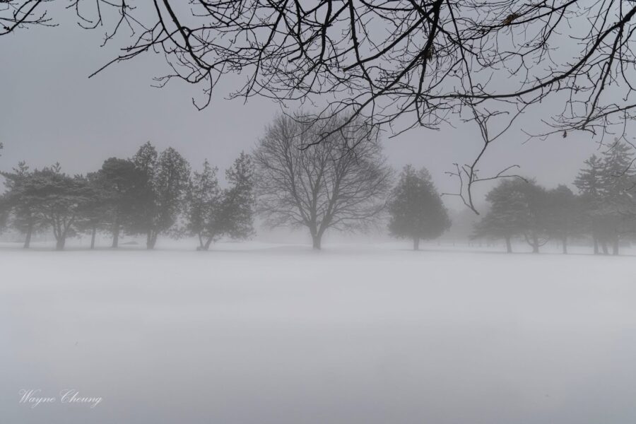 新たなる挑戦　A New Beginning